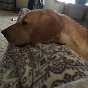 Meet your Posher, Denise